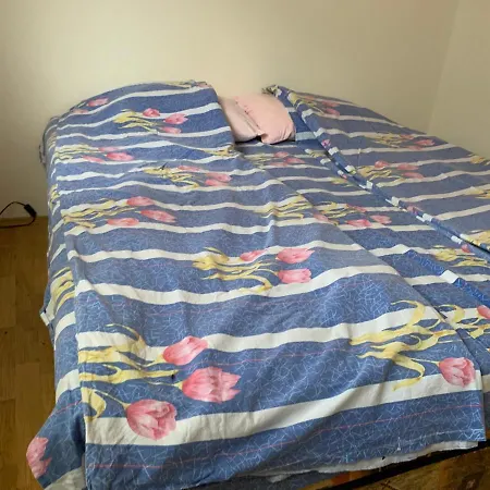 Lane אכסניה מיטרובאץ