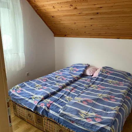 Lane מיטרובאץ