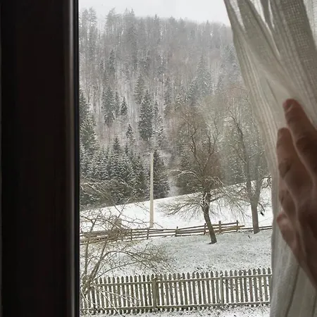 Lane מיטרובאץ