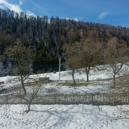 אכסניה Lane מיטרובאץ